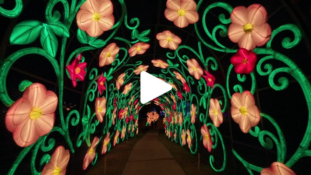 Houston_Botanic_Garden-Chinese_Lantern_Festival_8