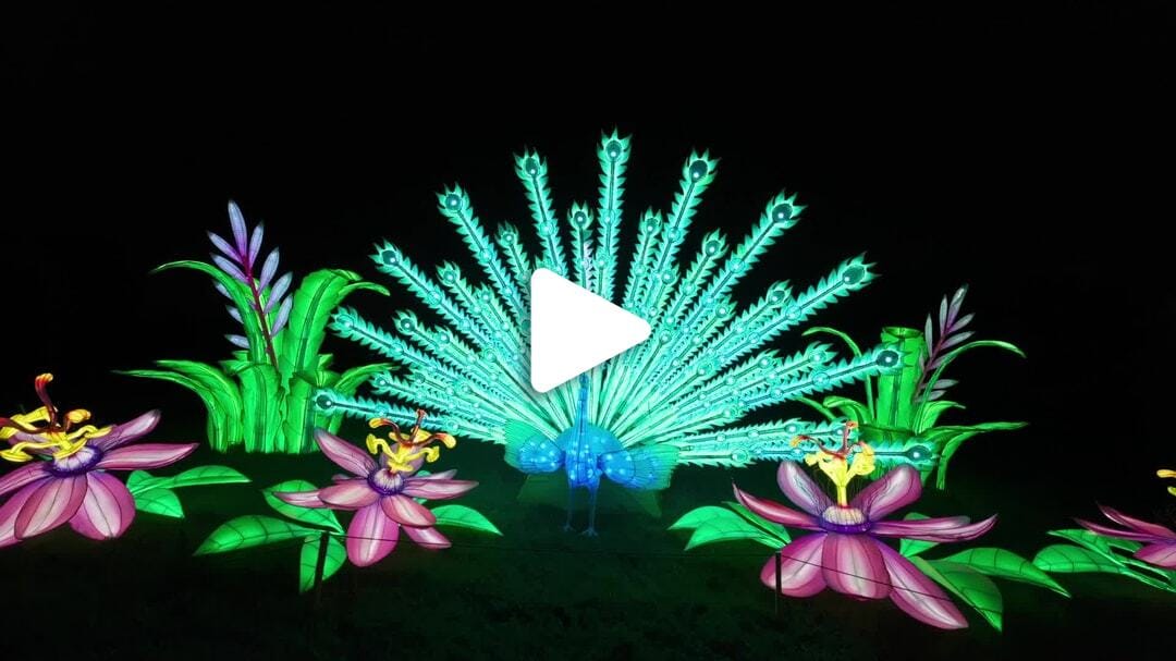 Houston_Botanic_Garden-Chinese_Lantern_Festival_3