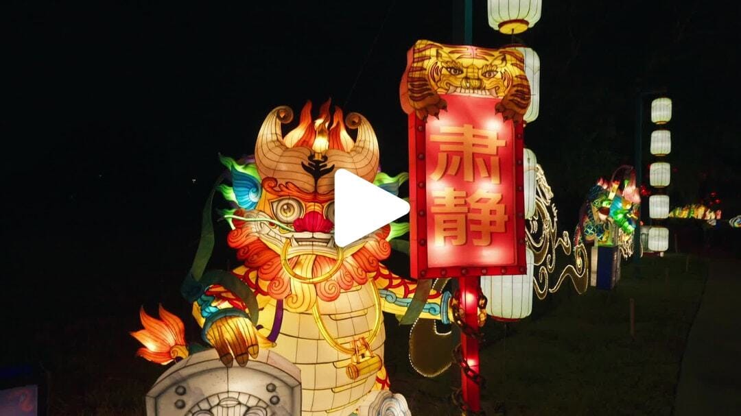 Houston_Botanic_Garden-Chinese_Lantern_Festival_10