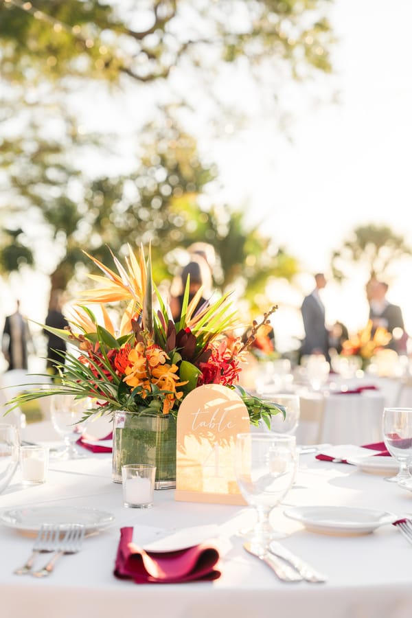 Deanna Grace Photography