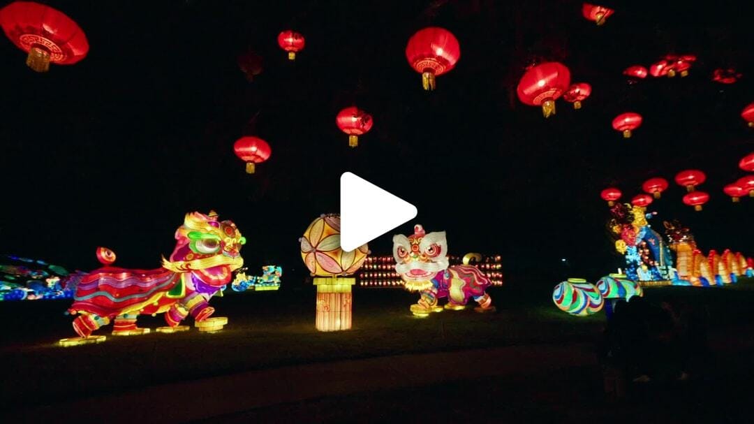 Houston_Botanic_Garden-Chinese_Lantern_Festival_11