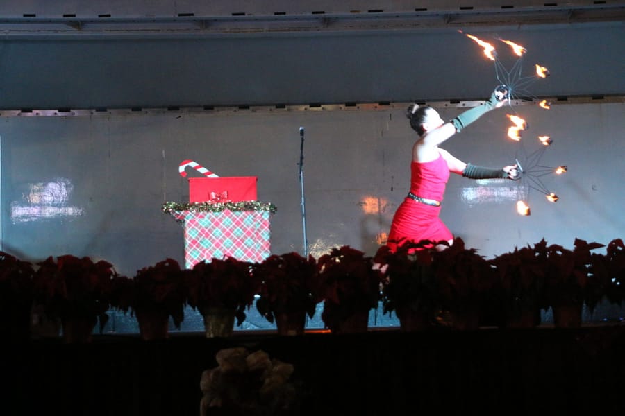 Poinsettia_parade_festival_20231202 (500)