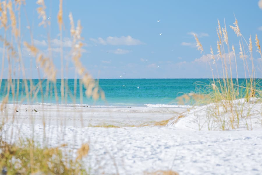 AMI Beaches Sea Oats