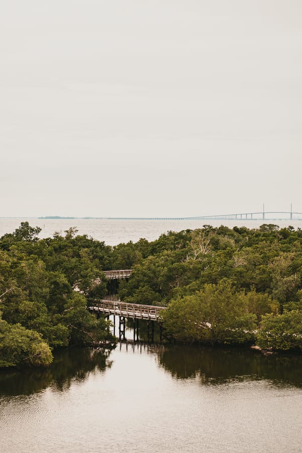 Robinson Preserve Nature