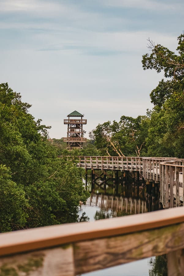 Robinson Preserve Nature