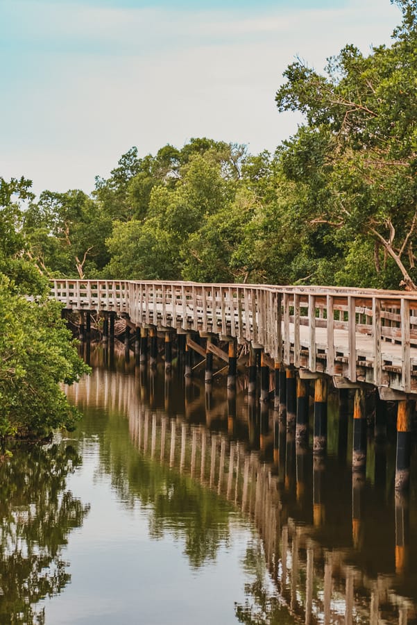 Robinson Preserve Nature