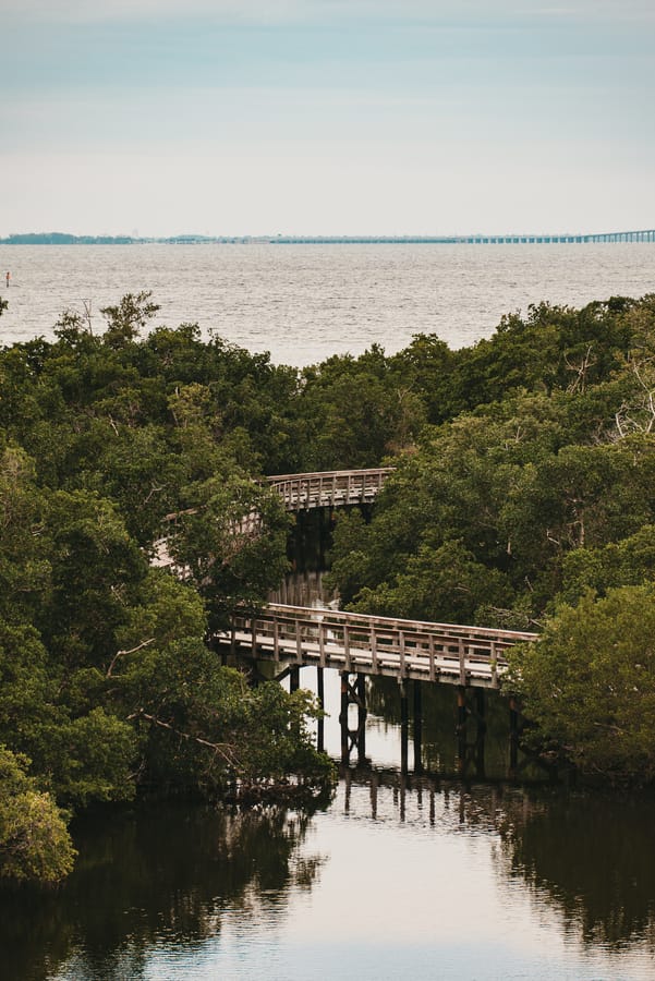 Robinson Preserve Nature