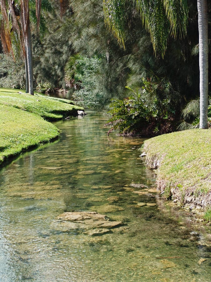 Brook 1