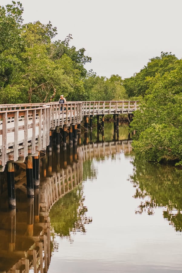 Robinson Preserve Nature