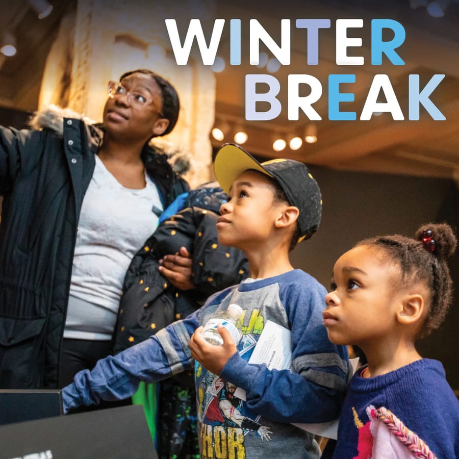 Winter Break at the Penn Museum