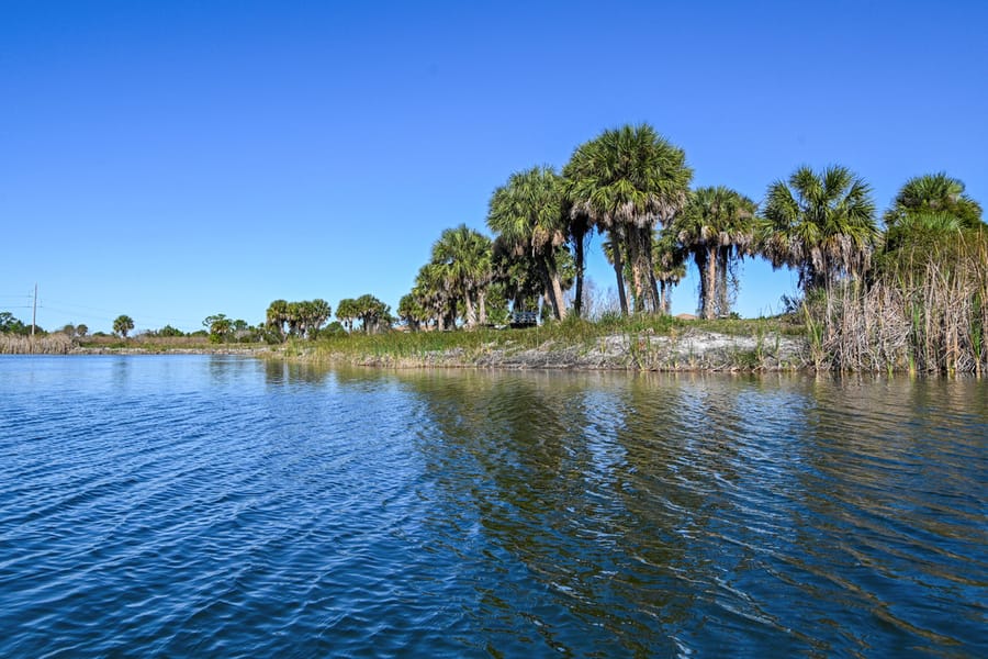 Scherer Thaxton Preserve Improvements