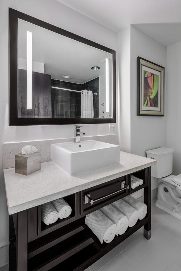 Guestroom-Room 220-King Suite Bathroom 2