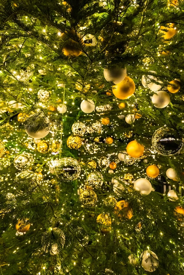 City_Hall-iday_Lights_2023_1