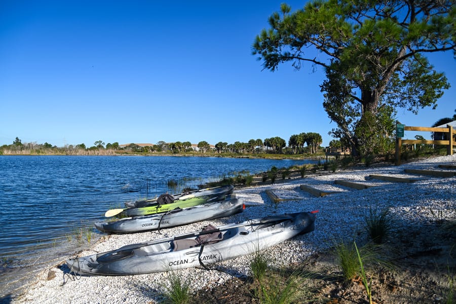 Scherer Thaxton Preserve Improvements