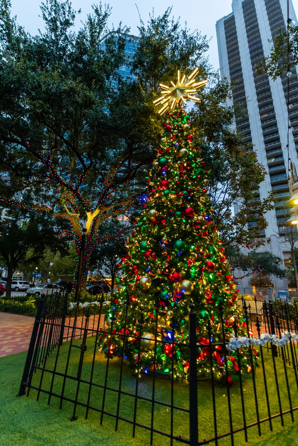 Market_Square_Park-Mistletoe_Square_2023_3