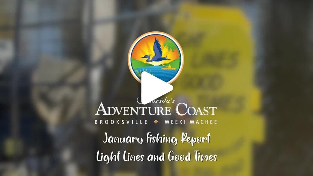 Fishing Report_January 2024