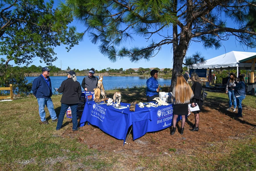 Scherer Thaxton Preserve Improvements