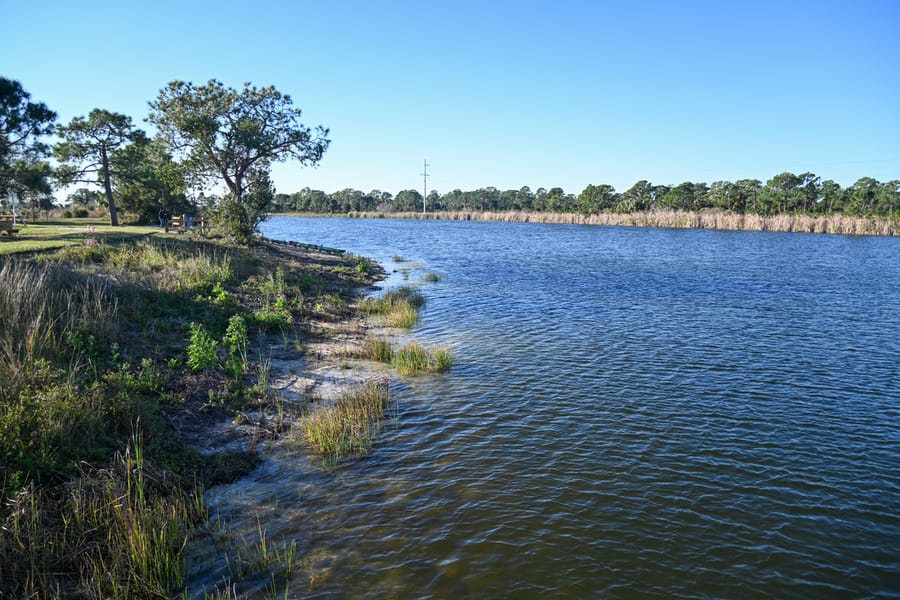 Scherer Thaxton Preserve Improvements