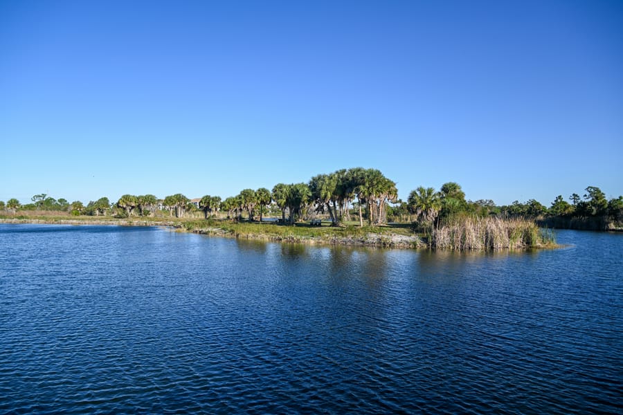 Scherer Thaxton Preserve Improvements