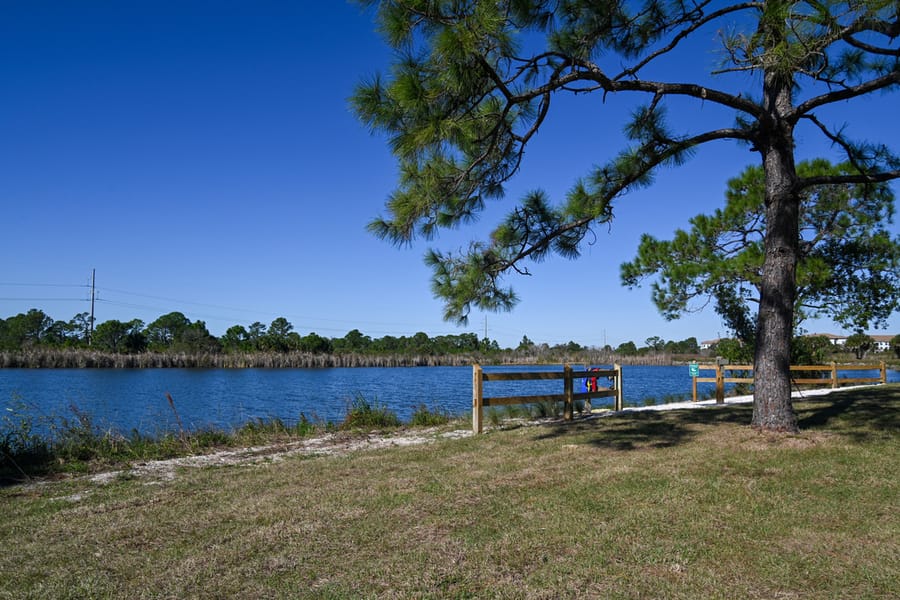 Scherer Thaxton Preserve Improvements