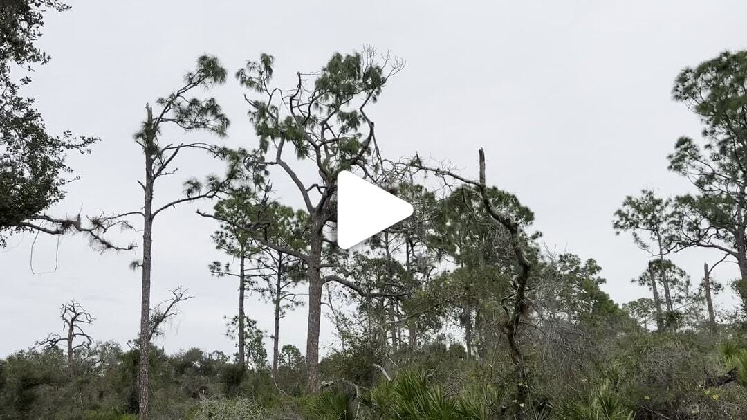 Greenway_Trail_Januar_2024 (19)