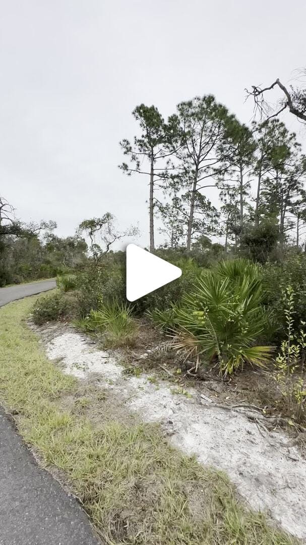 Greenway_Trail_Januar_2024 (21)