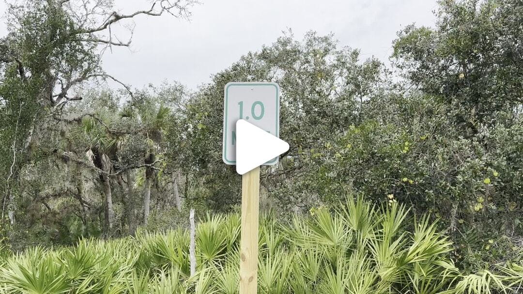Greenway_Trail_Januar_2024 (16)
