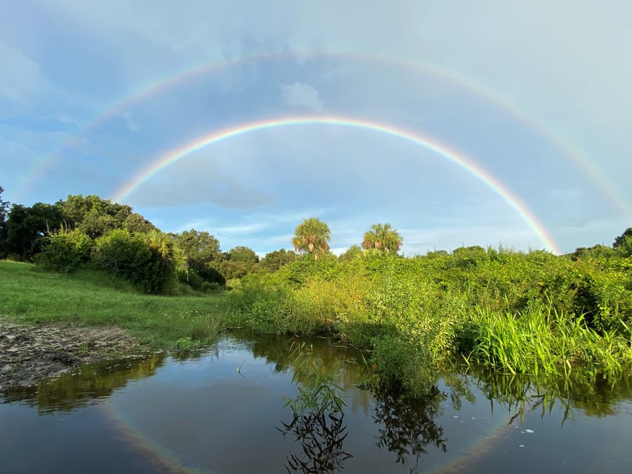 Rainbow
