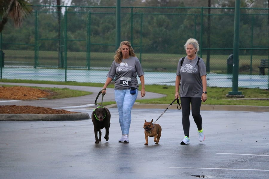 Rockin5K_20240113 (310)