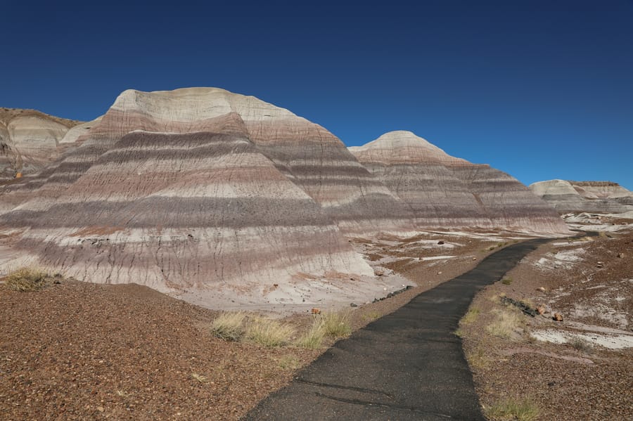 Petrified Forest-12