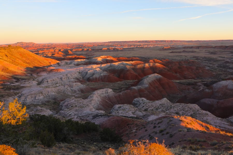 Petrified Forest-14