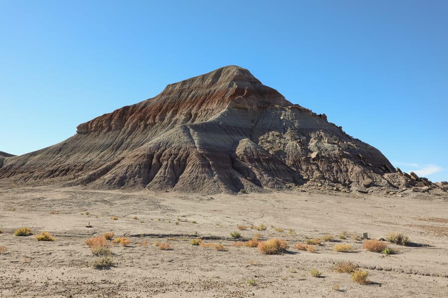 Petrified Forest-15