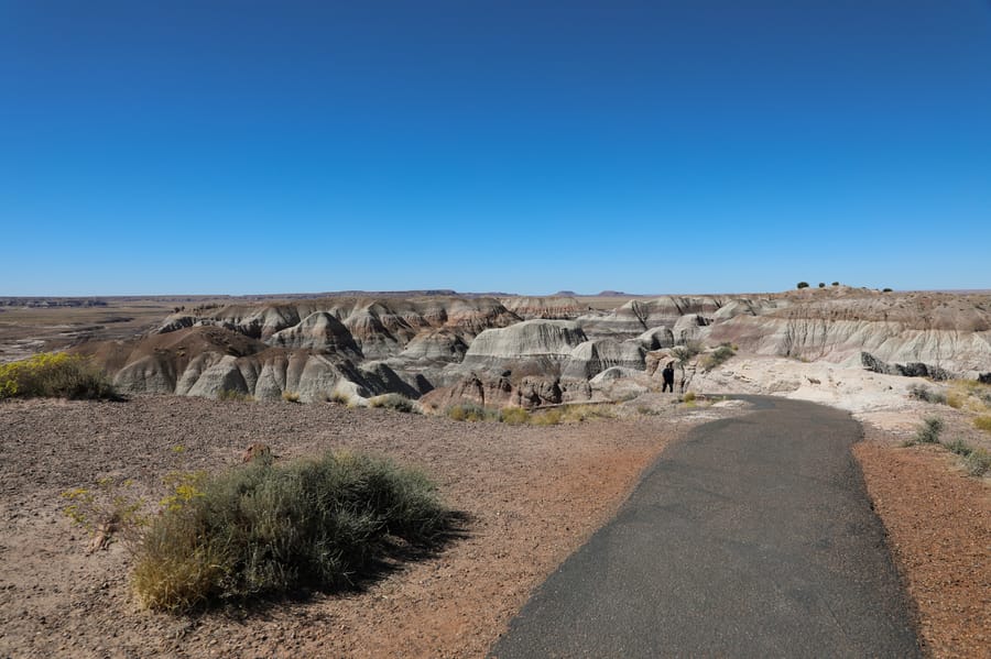 Petrified Forest-10