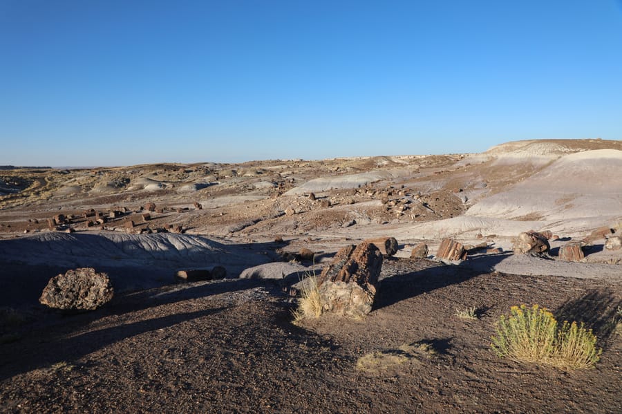 Petrified Forest-2