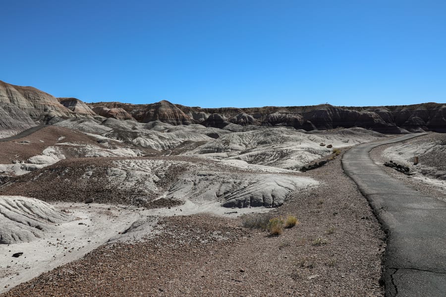 Petrified Forest-9