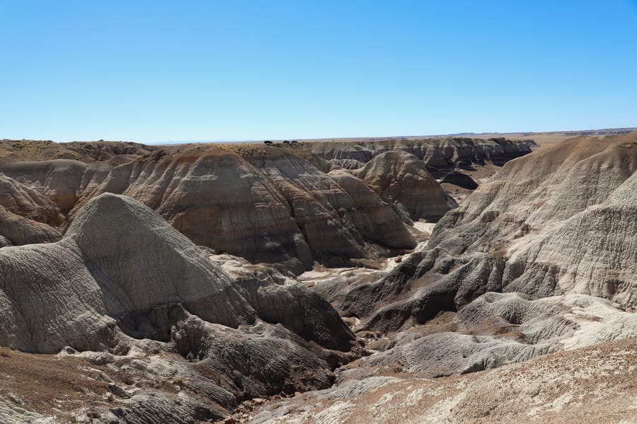 Petrified Forest-11