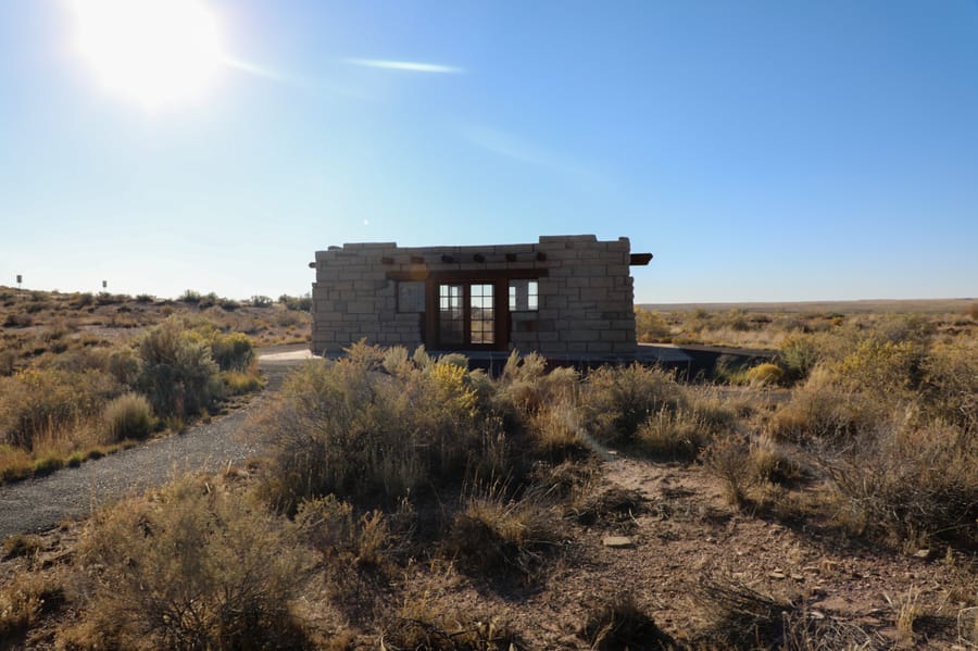 Petrified Forest