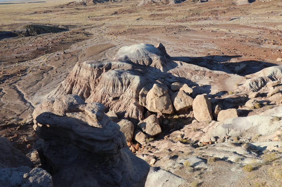 Petrified Forest-1