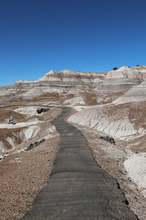 Petrified Forest-8