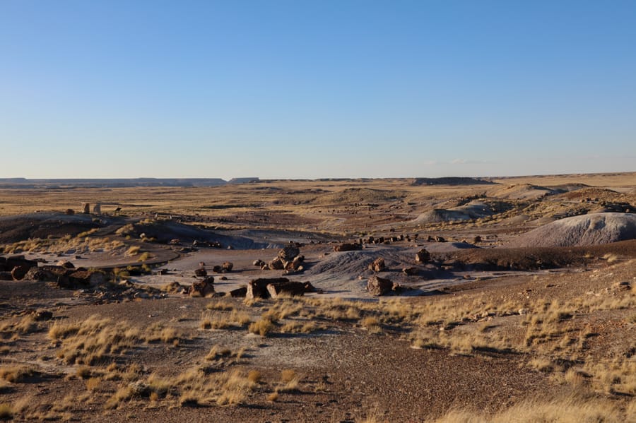 Petrified Forest-3