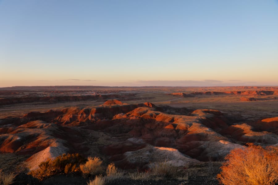 Petrified Forest-4