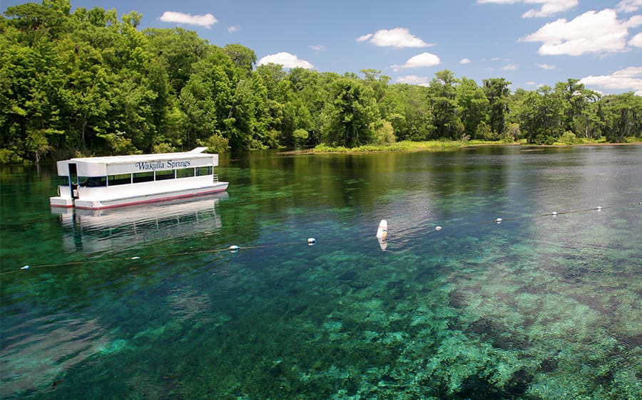 Wakulla Springs