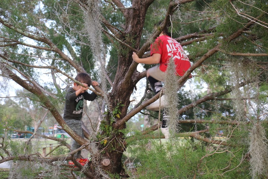 Go_Green_with_Parks_January_2024 (43)