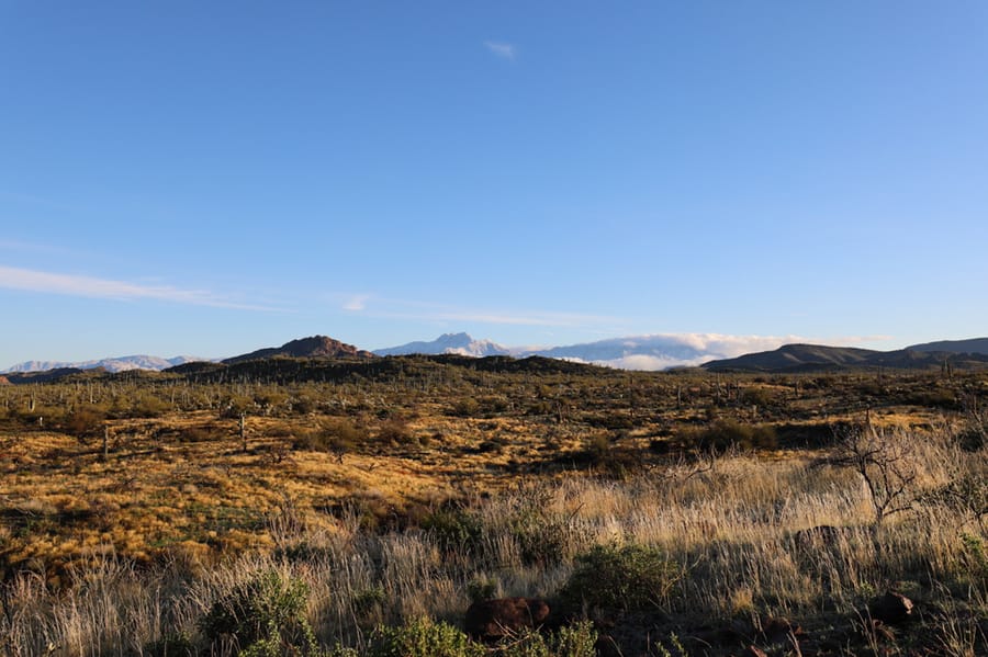 Superstitions Wilderness