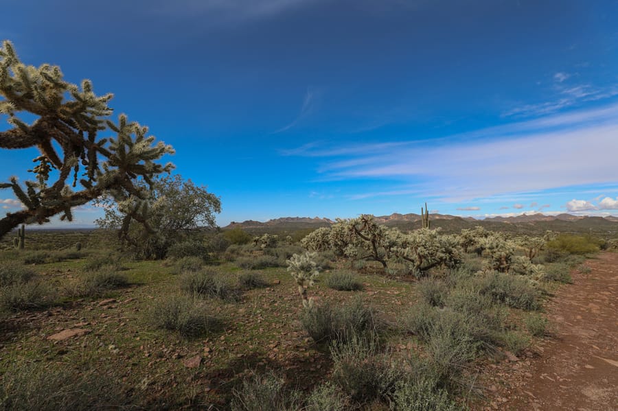 Superstitions Wilderness-13