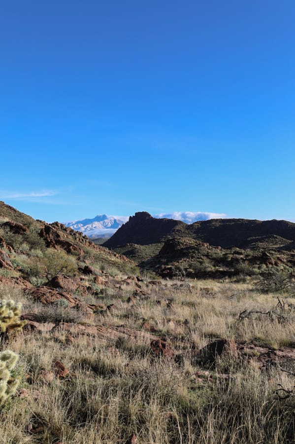 Superstitions Wilderness-3