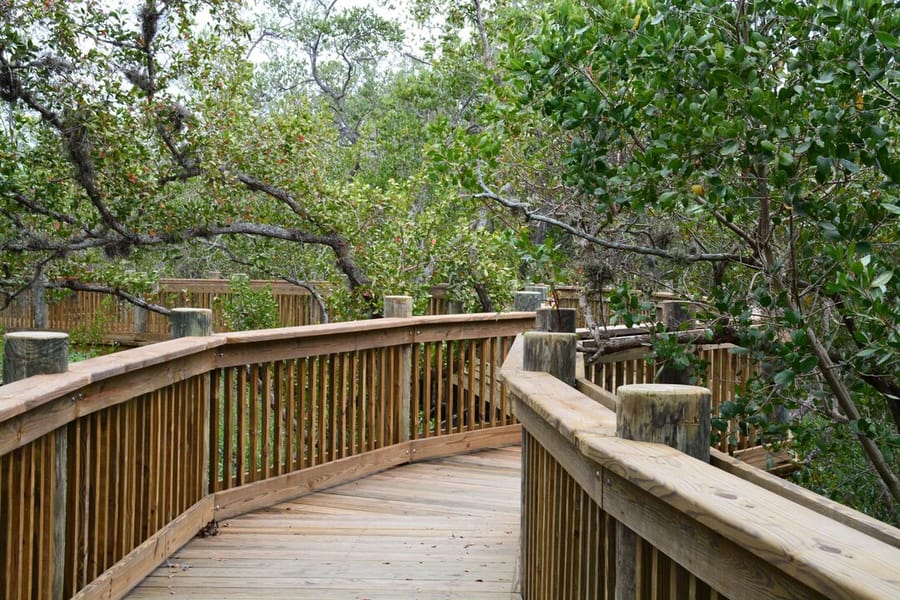 Neal Preserve
