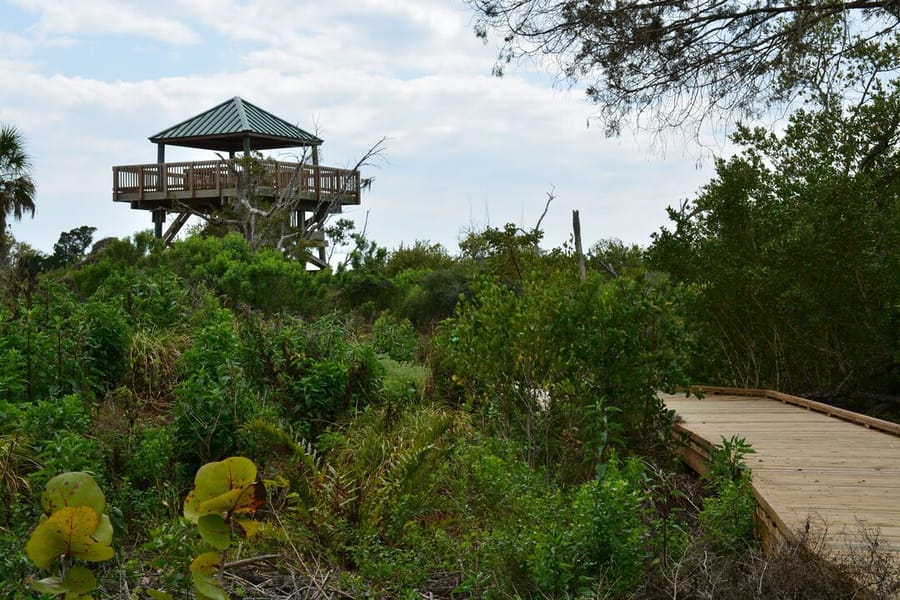 Neal Preserve