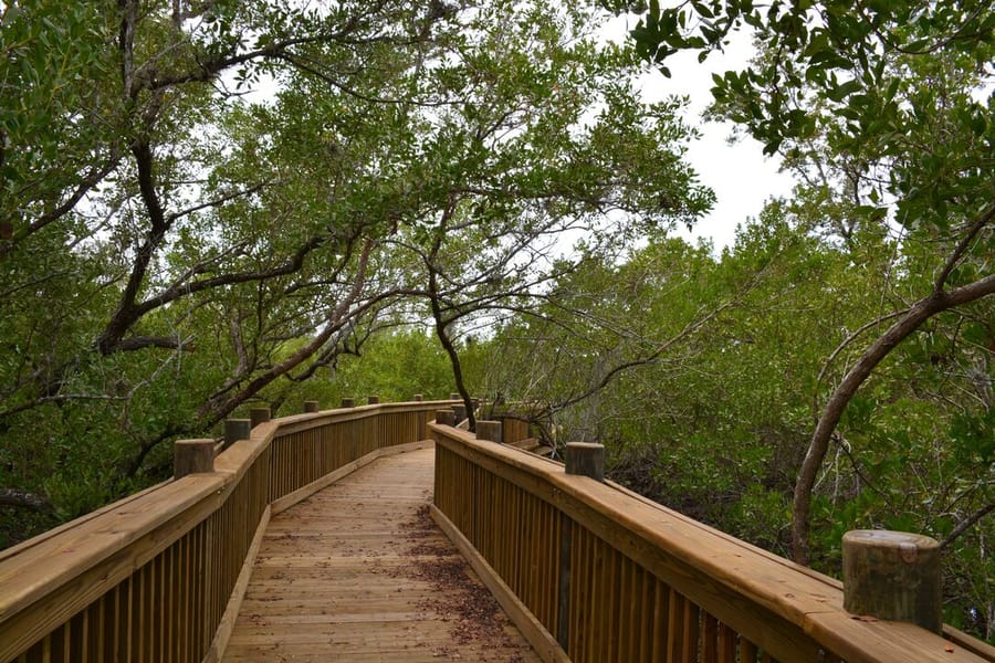 Neal Preserve