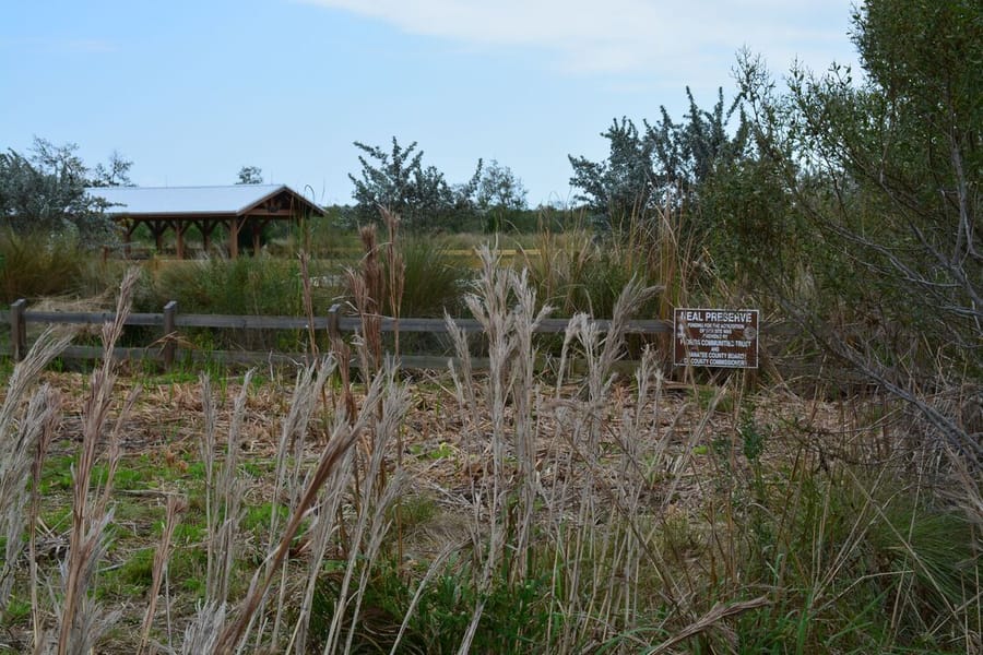 Neal Preserve